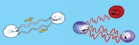 schermafbeelding 2025 11 12 195347