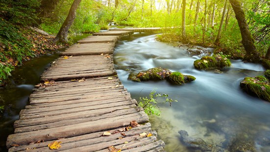 schermafbeelding 2025 11 15 014736