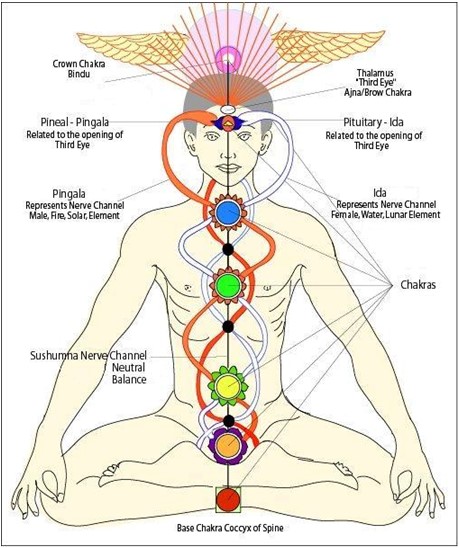 schermafbeelding 2025 11 15 143111