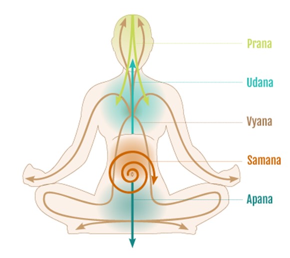 schermafbeelding 2025 11 15 150937